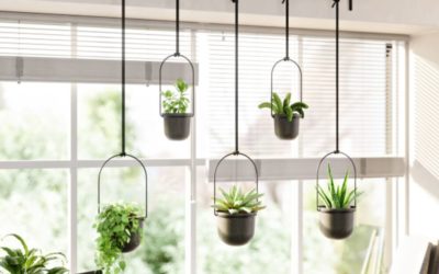 Porte plantes x5 Triflora – Umbra