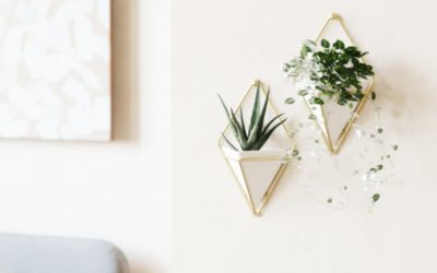 2 vases muraux Trigg – Umbra