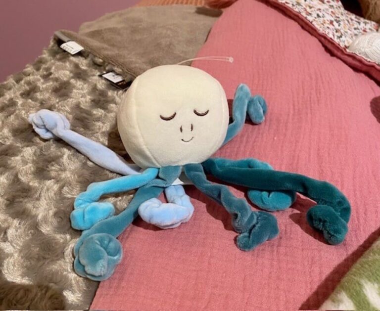 peluche pieuvre bleu sweat inky et pinky bukowski
