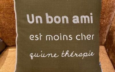 Coussin message amitié 45×45 – Plusieurs messages